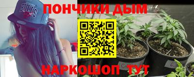 прущие грибы Усть-Илимск